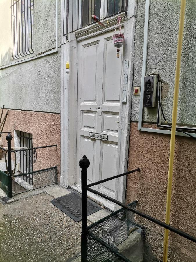 Lejlighed Flat In Historic With Your Own Private Garden, Near City Park *