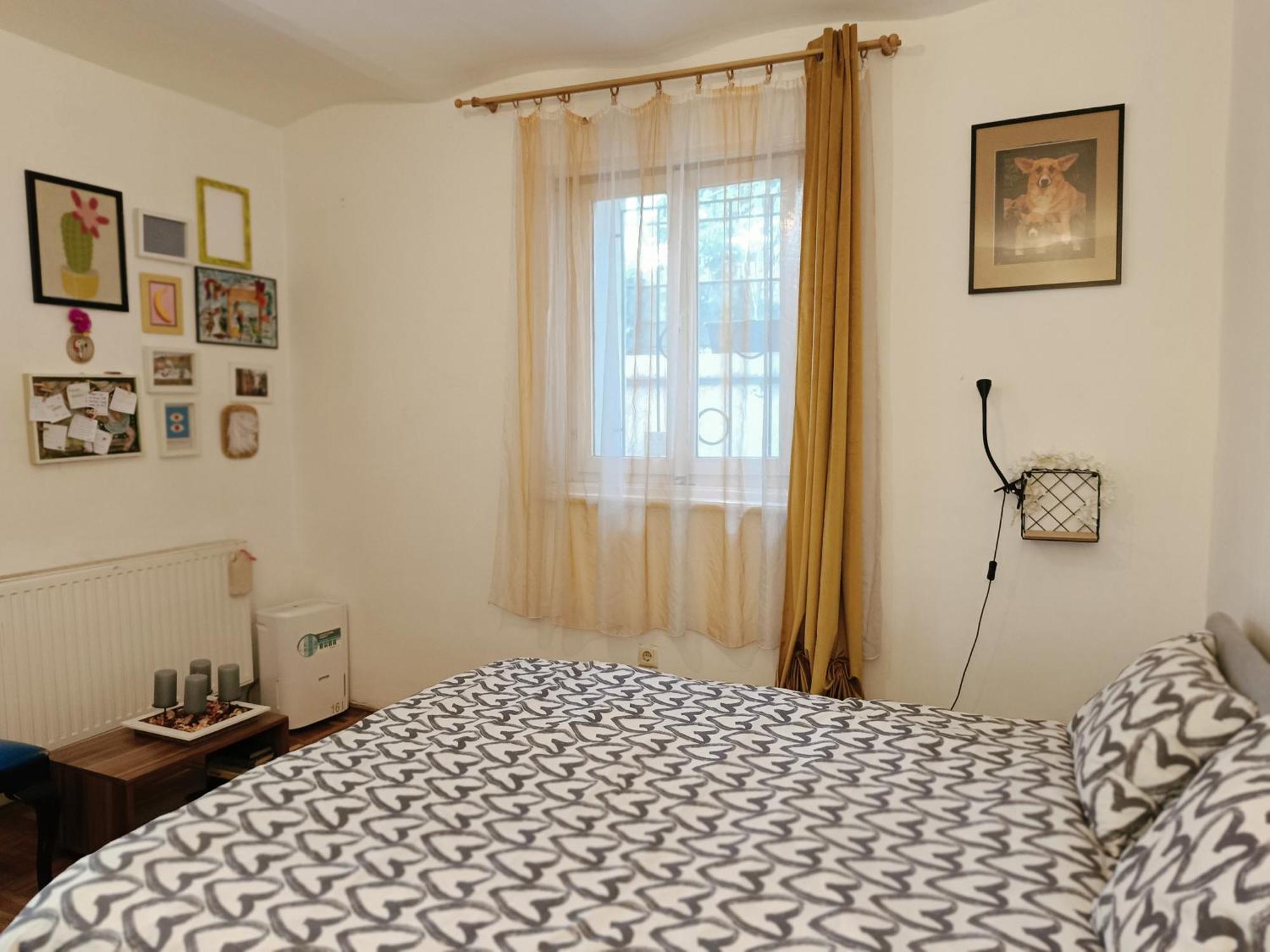 Apartamento Flat In Historic With Your Own Private Garden, Near City Park *